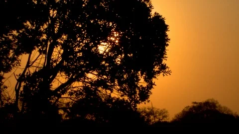 Sunburst Sunset Wide Shot Video stock 106796697