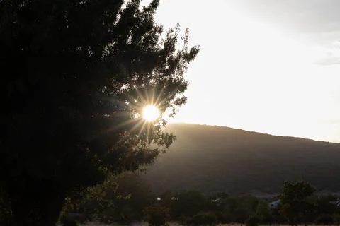Sunburst through tree branches during sunset or sunrise 库存照片