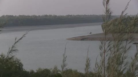 Sundarbans Stock Footage 4416872
