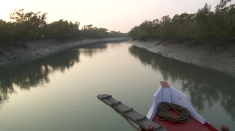 Sundarbans Stock Footage 4452387
