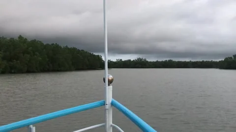 Sundarbans Mangrove Forest Stock Footage 251732151