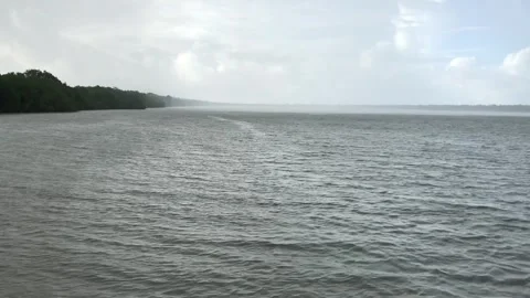 Sundarbans Mangrove Forest Stock Footage 251732434