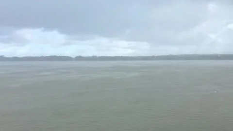 Sundarbans Mangrove Forest Stock Footage 251732552