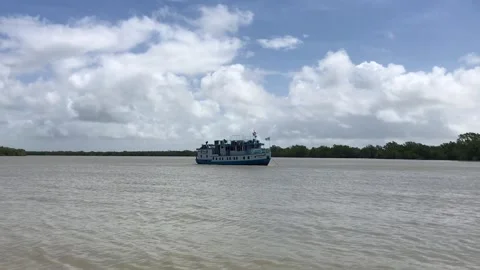 Sundarbans Mangrove Forest Stock Footage 251732828