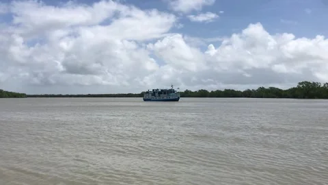 Sundarbans Mangrove Forest Stock Footage 251733028