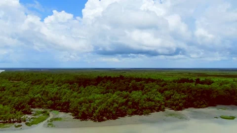 Sundarbans under beautiful white cloudy blue sky- Aerial Drone View show two Video stock 345128931