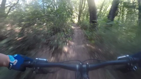 Sunday Funday Vídeos de archivo 152602313