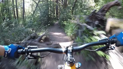 Sunday Funday2 Vídeos de archivo 152604594