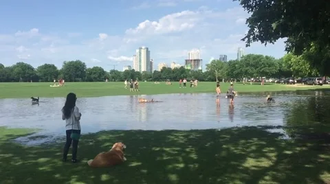 Sunday In The Park in Austin Stock Footage 50227810