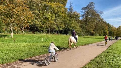 Sunday in the park Stock-Footage 119207511