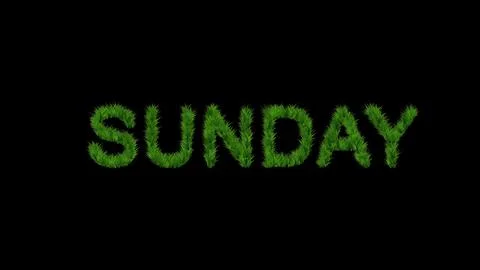 Sunday text with green grass effect on plain black background Ilustração Stock