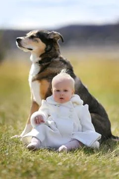 Sundaydogsit Stock Photos