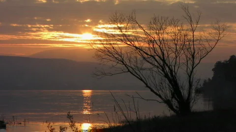 Sundown 13  Video stock 547604