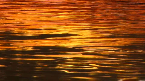 Sundown 27 1 Video stock 548263