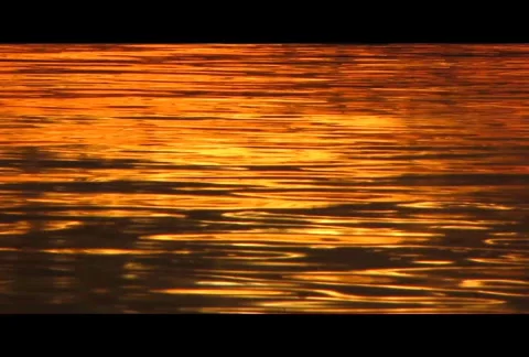 Sundown 27  Stock Footage 575532
