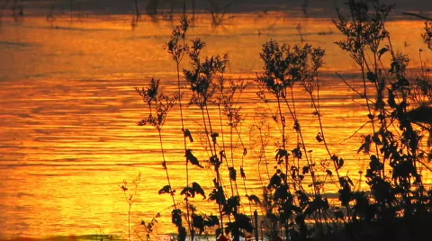 Sundown 28 2 Stock-Footage 548264