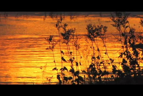 Sundown 28 P Stock Footage 575409