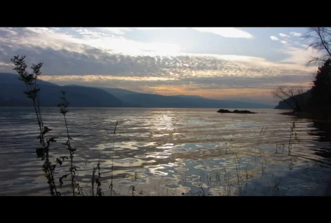 Sundown 32  Stock Footage 575582