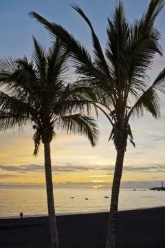 Sundown on the beach. Stock Photos