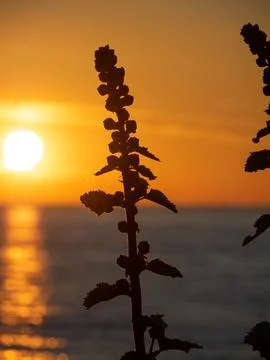 Sundown at the beach of Zingst Stock Photos