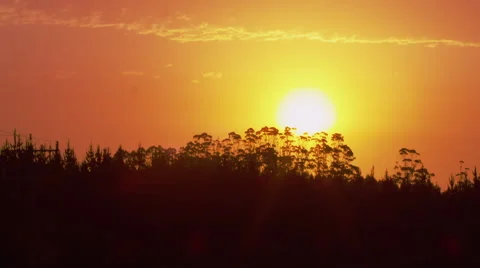 Sundown Behind Trees Timelapse - Australian Outback Stock Footage