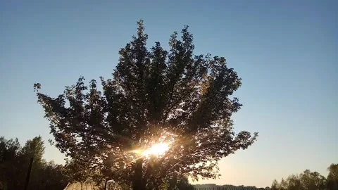 Sundown in countryside. Sunset timelapse. Stock Footage 130258615
