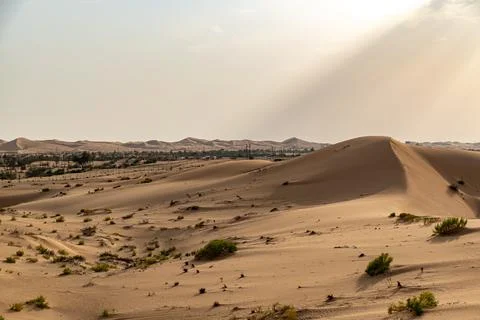 Sundown in the desert of UAE Stock Photos