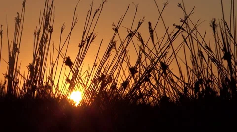 Sundown Stock Footage 34349485