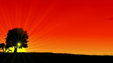 Sundown in the meadow Stock Footage 646185