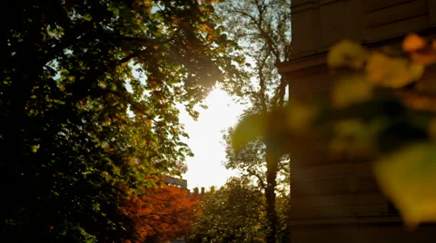 Sundown in the park Stock Footage 41437490