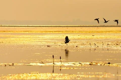 Sundown Stock Photos