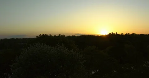 Sundown in the quiet forest. Timelapse shot in 4k. 库存影片 94689088