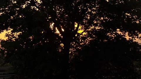 Sundown at Rhine Vídeo Stock 93723517