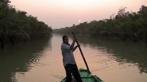 Sundown Row Stock-Footage 10840803