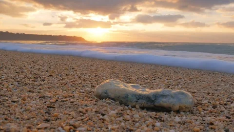 Sundown on the sea shore.  Video stock 71701504