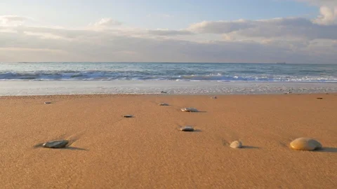Sundown on the sea shore. Video stock 71750343