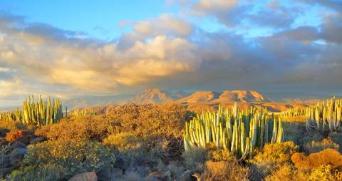 Sundown in Tenerife Stock Photos