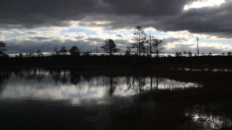Sundown view of the bog swamp marsh land Stock Footage 32542116