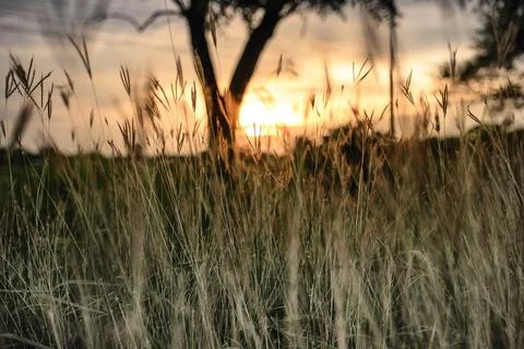 Sundown,Warm tone Stock Photos
