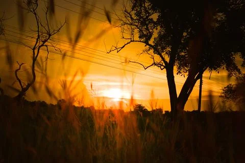 Sundown,Warm tone Stock Photos