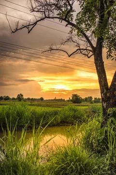 Sundown,Warm tone Stock Photos