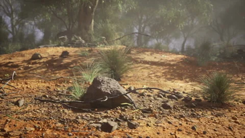 Sundrenched soil exhibiting termite structure amid sparse plants Stock Footage 342925354