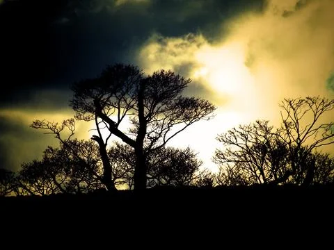 Sunet light Fotos de archivo