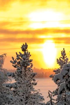 Sunet Stock Photos