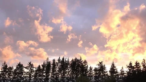 Sunet with trees Stock Footage 282882173