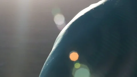 Sunflare on Back Video stock 90864682