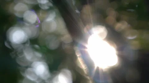Sunflare bokeh Stock Footage 52485514