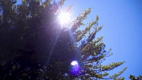 SunFlare Stock-Footage 278122658