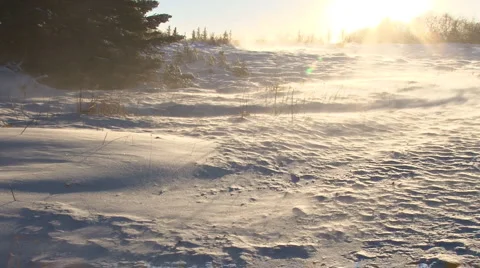 Sunflare Snow Field Blast Stock Footage 1217504