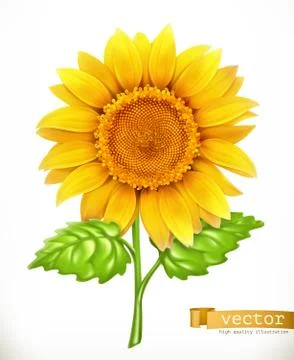 Sunflower. 3d vector icon Stock Illustration